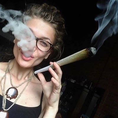 Cannabis Preroll: Daim Ntawv Qhia Kev Lag Luam rau Cov Neeg Lag Luam & Cov Mu...